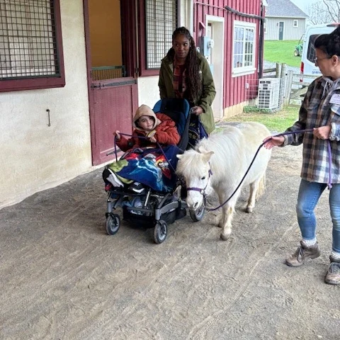 Who We Are - Elwyn Image