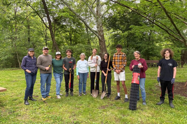 Friends of Little Crum Creek Park image